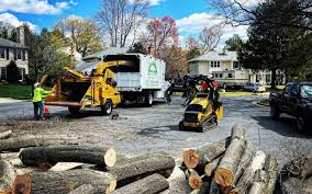 Best Pest Control for Lawns  in Boonville, CA