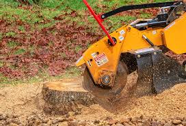 Best Fruit Tree Pruning  in Boonville, CA