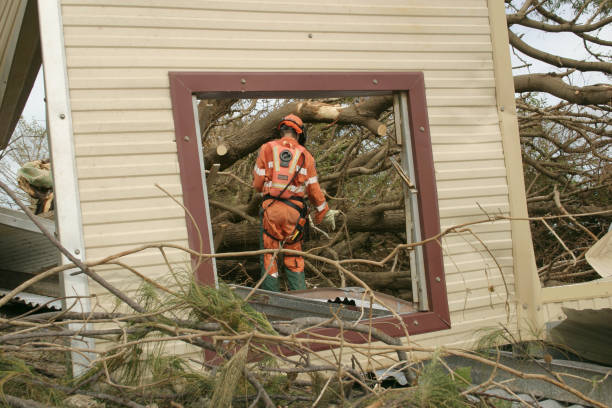  Boonville, CA Tree Services Pros